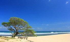 Pemandangan di Pantai Pok Tunggal Pantai Pok Tunggal