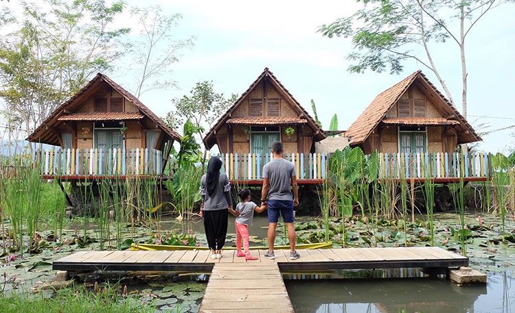 Desa Wisata Boro Jogja dan 5 Aktivitas Seru Yang Bisa Dilakukan